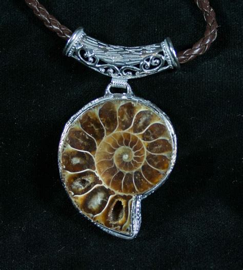 fossil necklace sale|fossil necklace clearance.